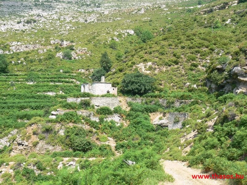 balazsh 2011